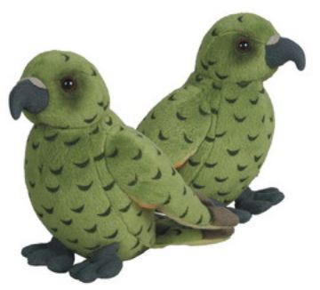 Picture of Kea Sound Bird