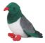 Picture of Kereru Wood Pigeon Sound