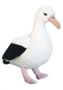 Picture of Albatross Sound Bird 15cm