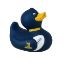Picture of Super Rugby Bath Duck Highlanders