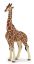 Picture of Papo Giraffe Male