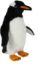 Picture of Gentoo Penguin (no sound)