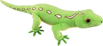Picture of Green Gecko