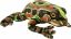Picture of Archey's Frog