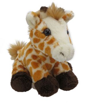 Picture of Wild Mini Giraffe